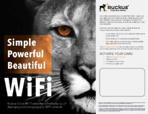 Ruckus-Wireless---Interactive---Pooja_Businesses-Rd2_Page_4-WEB